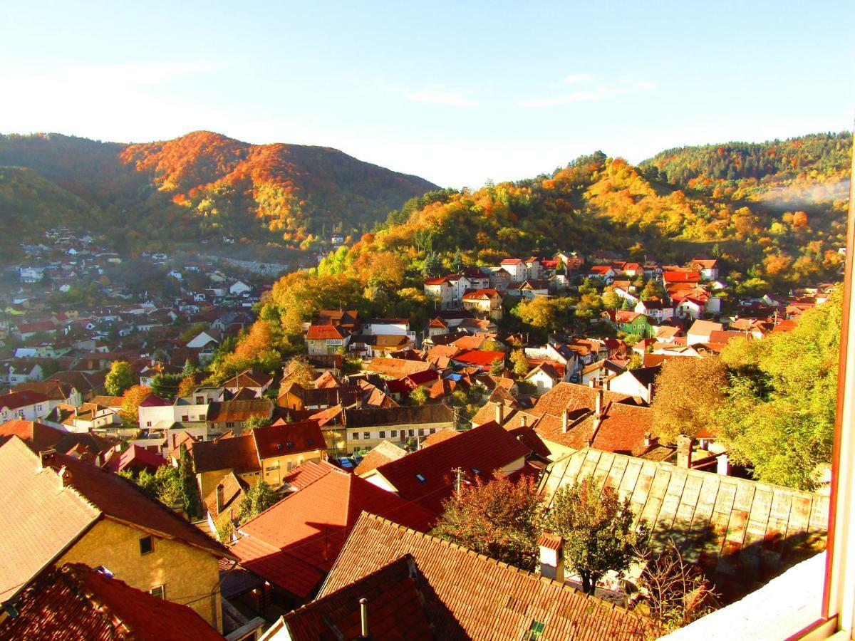 Vila Paul Best Paronamic View Over Medieval Historical Centre Braşov Exteriör bild
